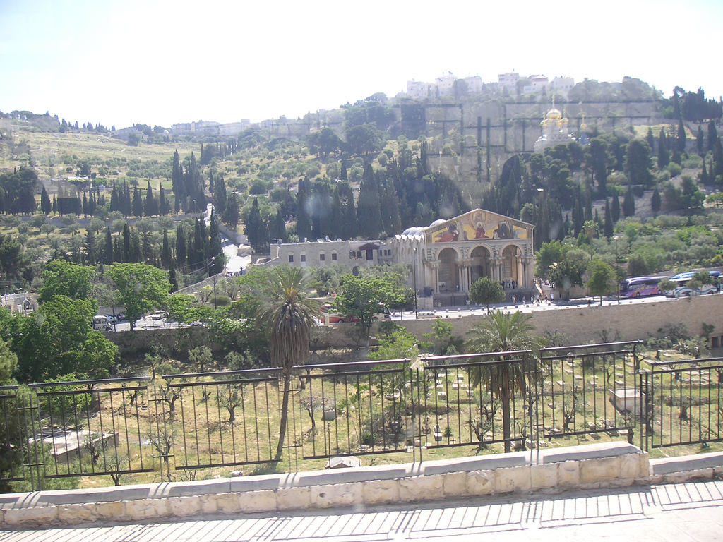 فلسطين في الذاكرة اكبر مجموعة صور لمحافظات فلسطين Jerusalem-10194