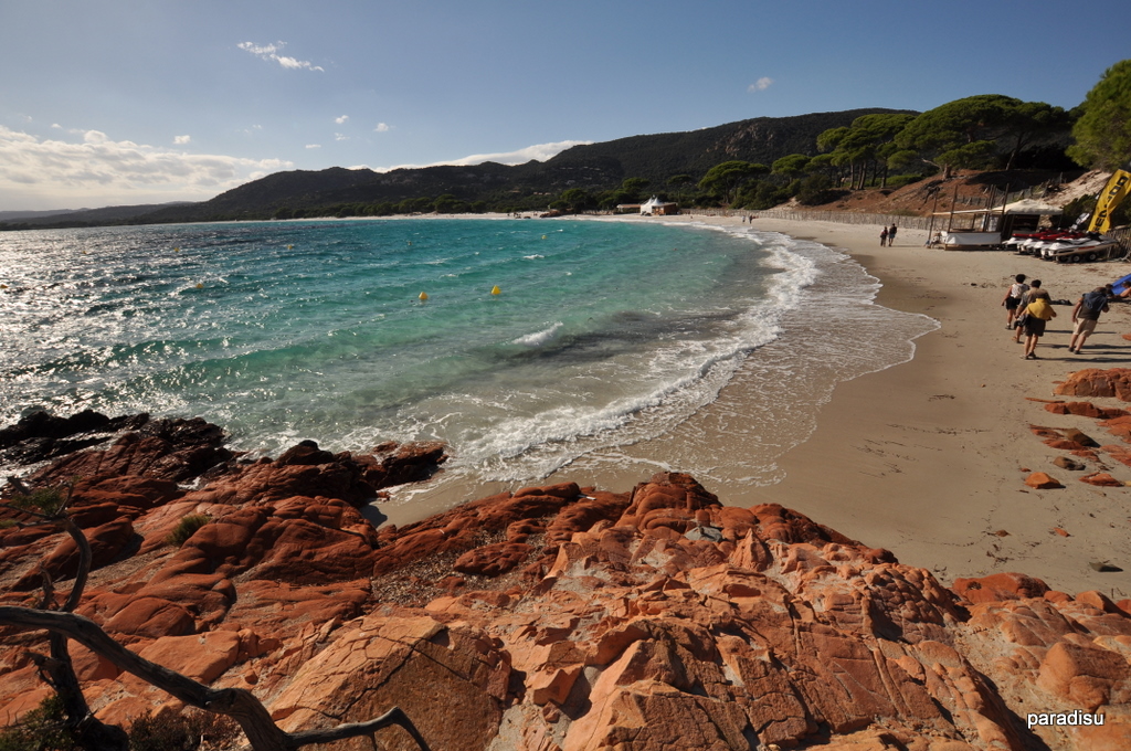 le site de Martin du 14 novembre trouvé par Martine Plage-palombaggia08