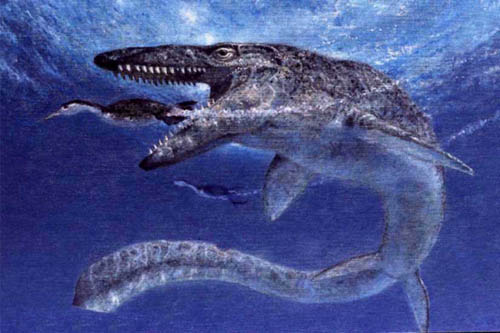 Animaux légendaires. (Yéti, Bigfoot, Chupaccabra, Etc...) - Page 7 Mosasaur