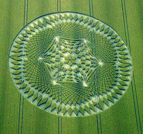 Aliens - Do they... don't they? Cropcircledelux