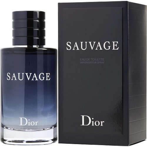 În căutarea comorilor - Page 7 Dior%20sauvage%202015-500x500