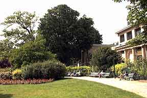 تقرير سياحي عن فرنسا Jardin_des_Champs-Elysees