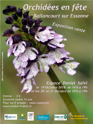 Vème Exposition Internationale de Orchidées 91 à BALLANCOURT (91) le 19, 20 & 21 octobre 2018 1585446_orchidees-en-fete-2_154820