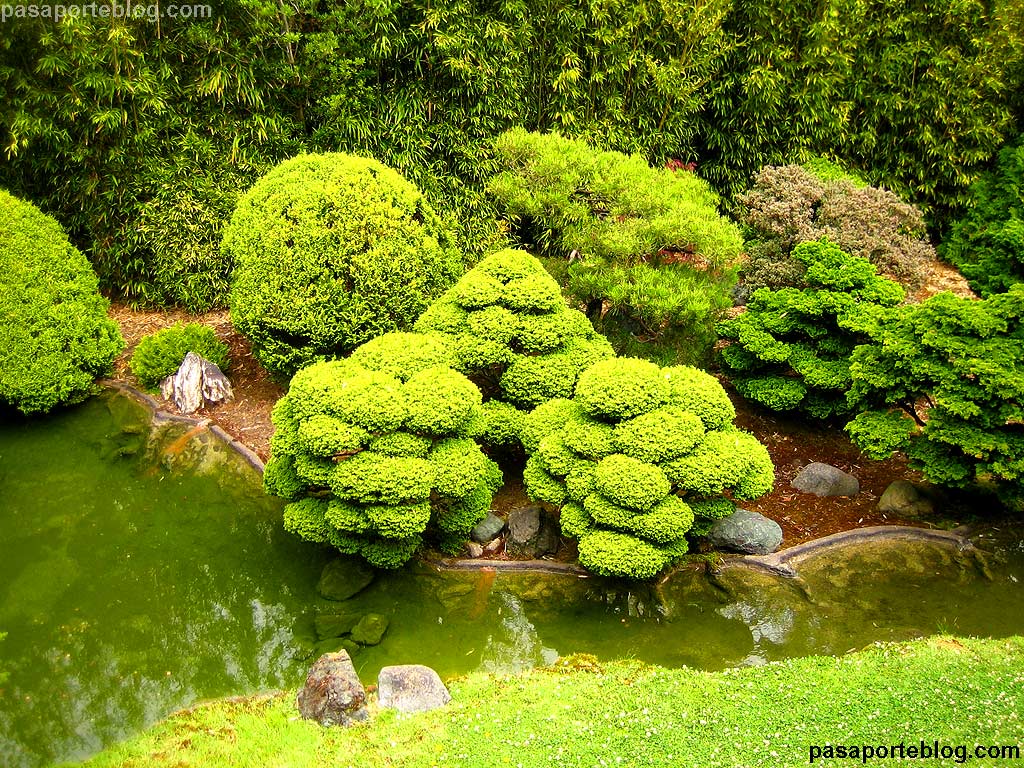 Se busca... (Chizuru) - Página 3 Jardin-de-te-japones