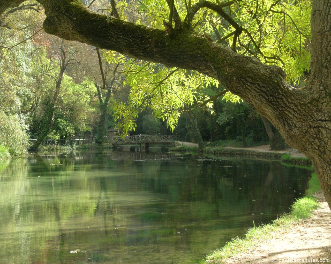 Conociendo los alrededores [Priv Jessica] Fotos_paisajes_monasterio_de_piedra_28