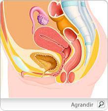  incontinence urinaire  Incontinence_urinaire_pm-2