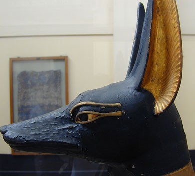 Ce que nos avatars disent de nous  - Page 3 Anubis-tete