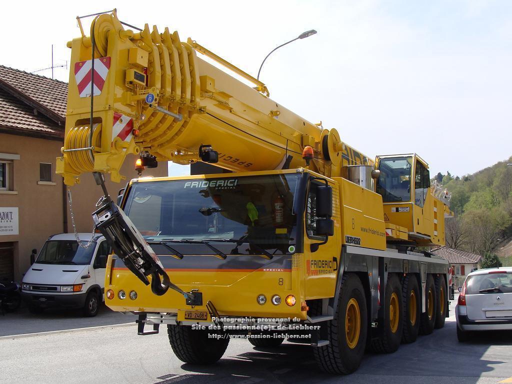 Les grues de FRIDERICI Special (Suisse) 20090415dsc01529