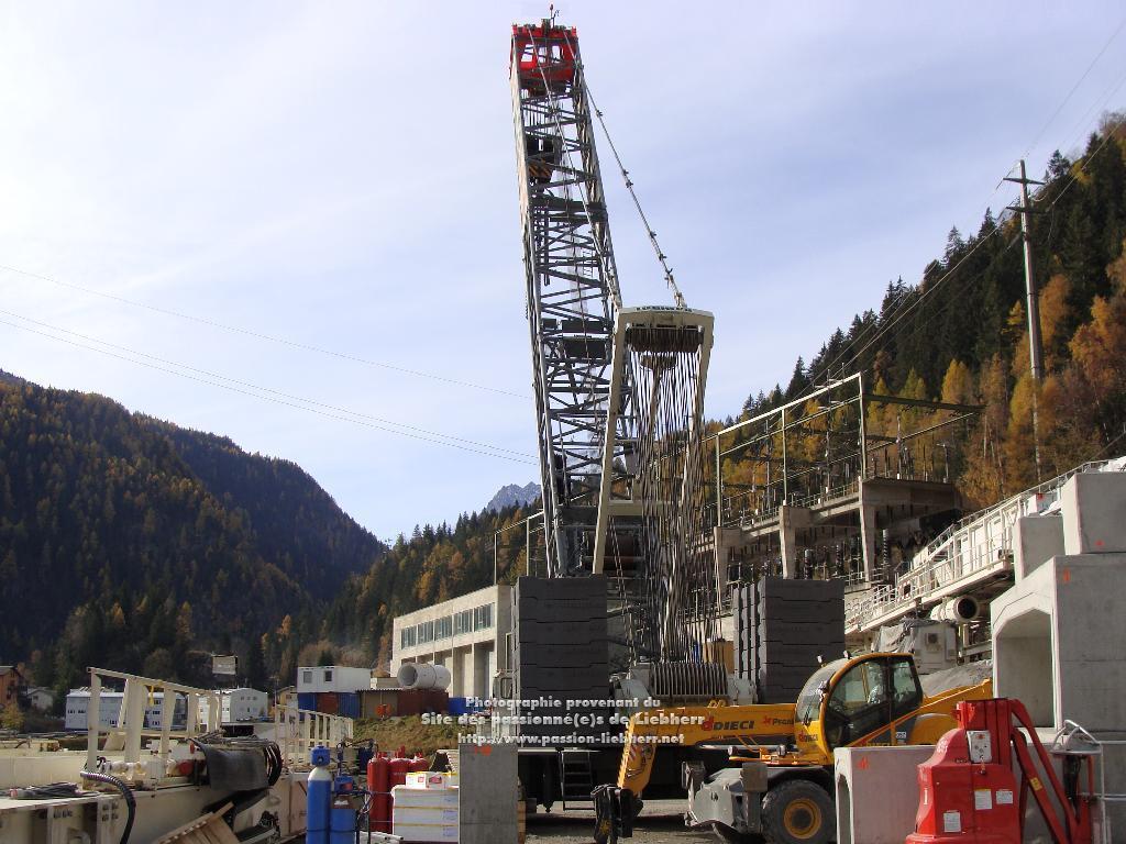 Les grues de FANGER (Suisse) 20091031dsc03131-