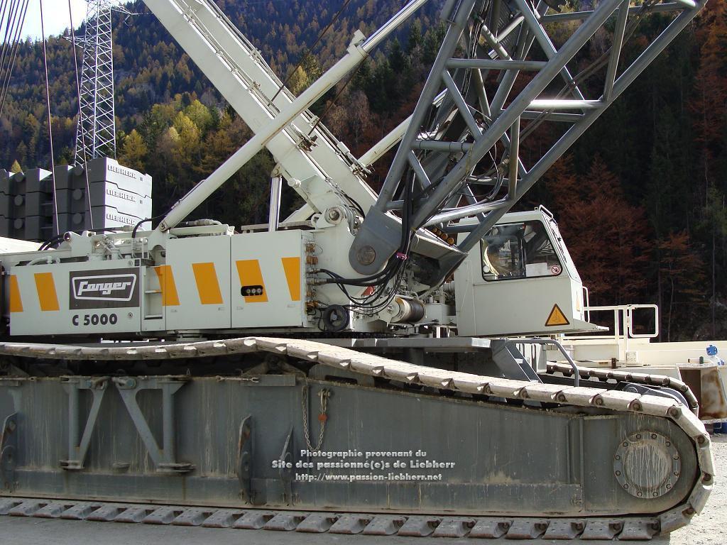 Les grues de FANGER (Suisse) 20091031dsc03138-