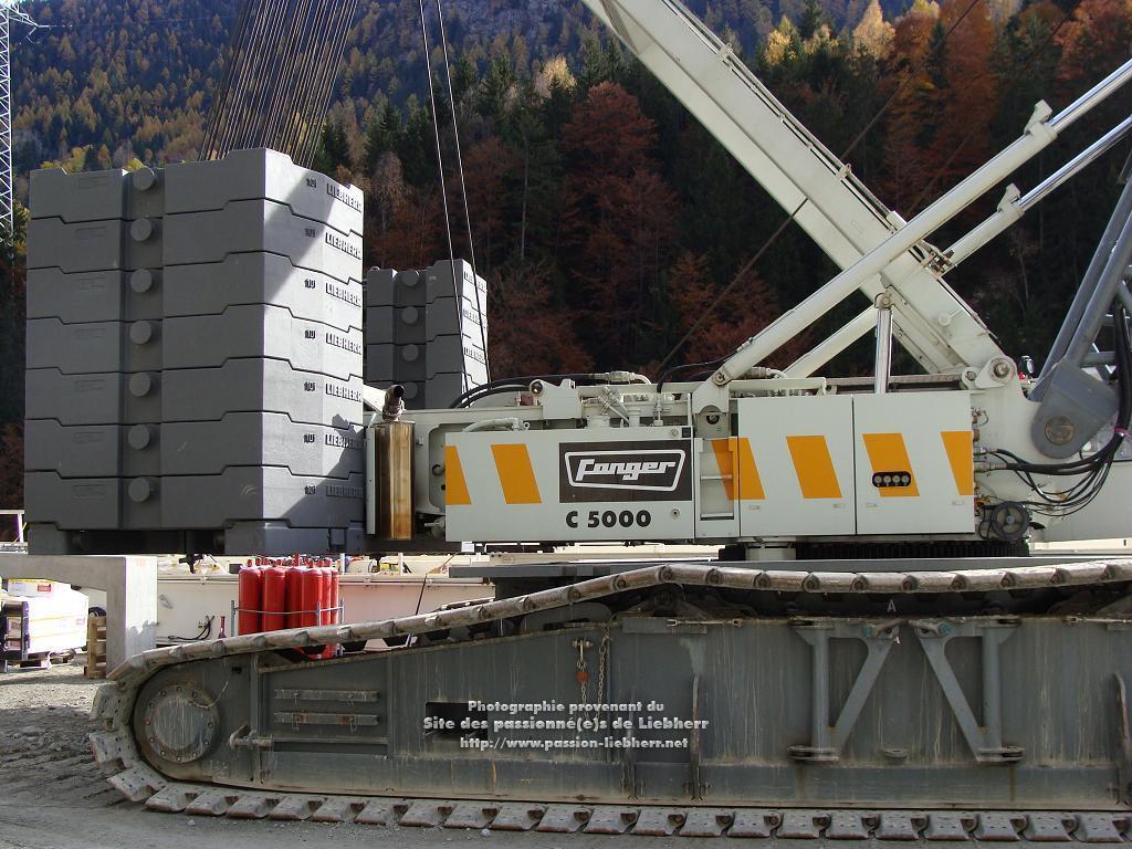 Les grues de FANGER (Suisse) 20091031dsc03140-