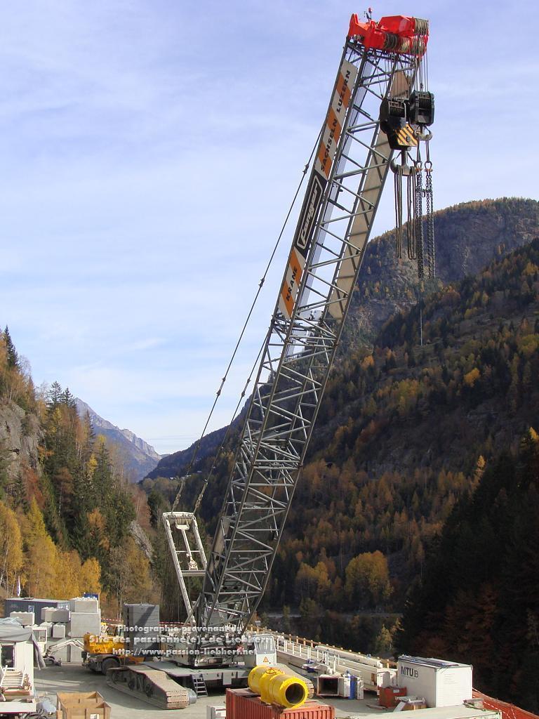 Les grues de FANGER (Suisse) 20091031dsc03156-