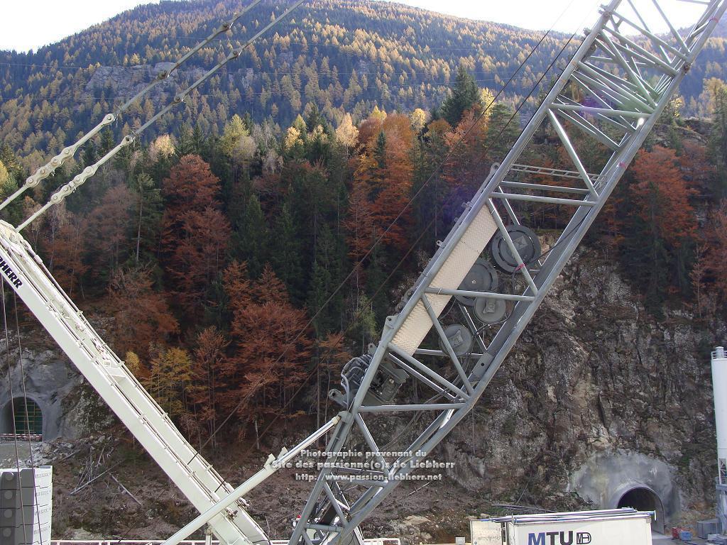 Les grues de FANGER (Suisse) 20091031dsc03169-