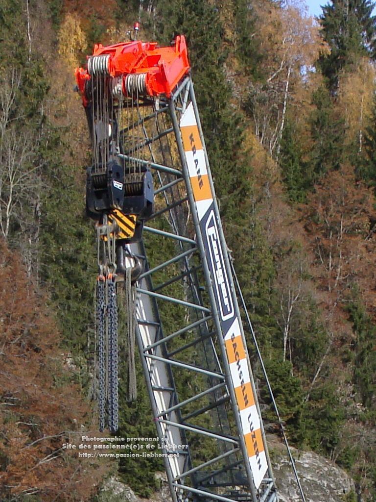 Les grues de FANGER (Suisse) 20091031dsc03176--