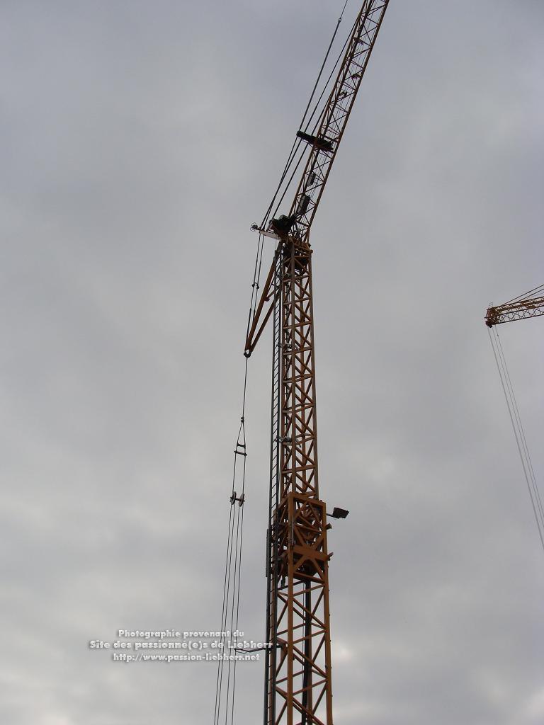 Grue mobile de construction Liebherr MK 63 20100410dsc04259-