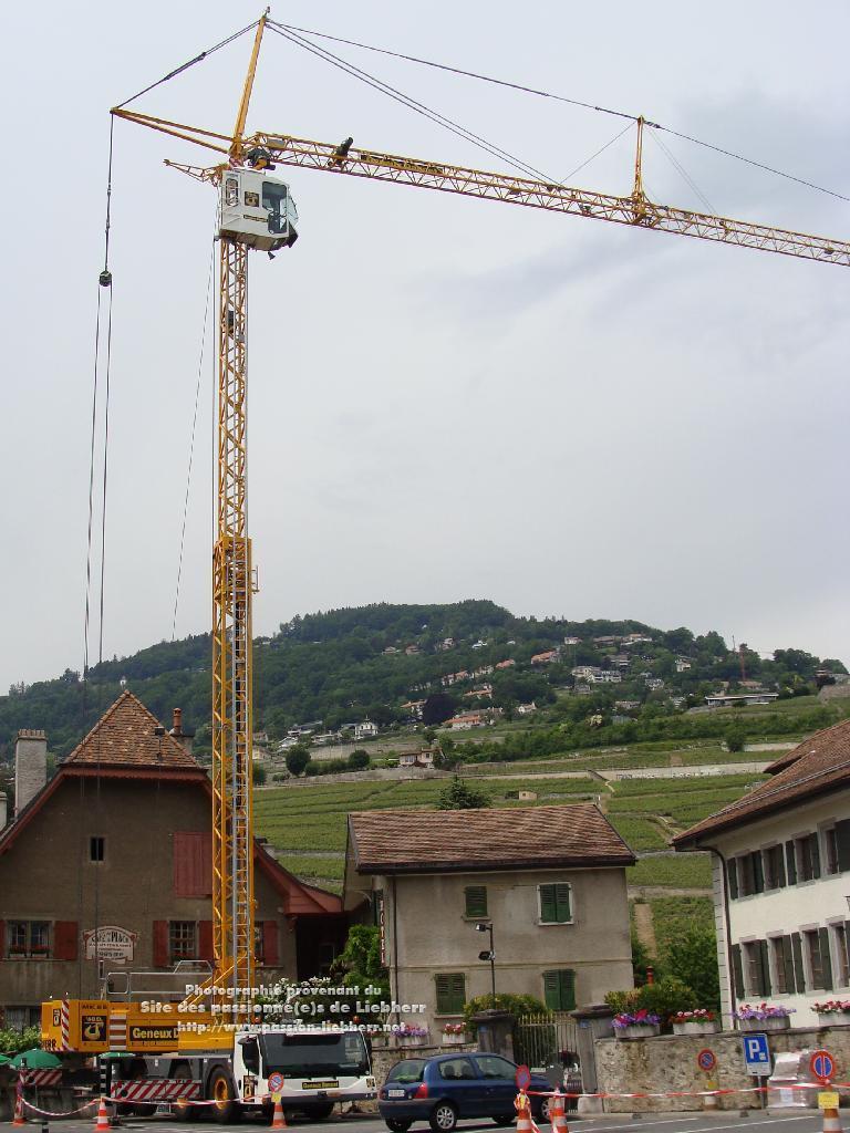 Grue mobile de construction Liebherr MK 88 20100608dsc04797-