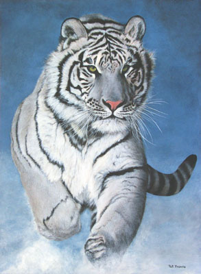 Ficha Inuzuka Tora Tigre_siberiano_blanco