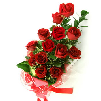 الاب الروحي منير - فرحتنا بقدومك لا توصف 12-red-roses-05