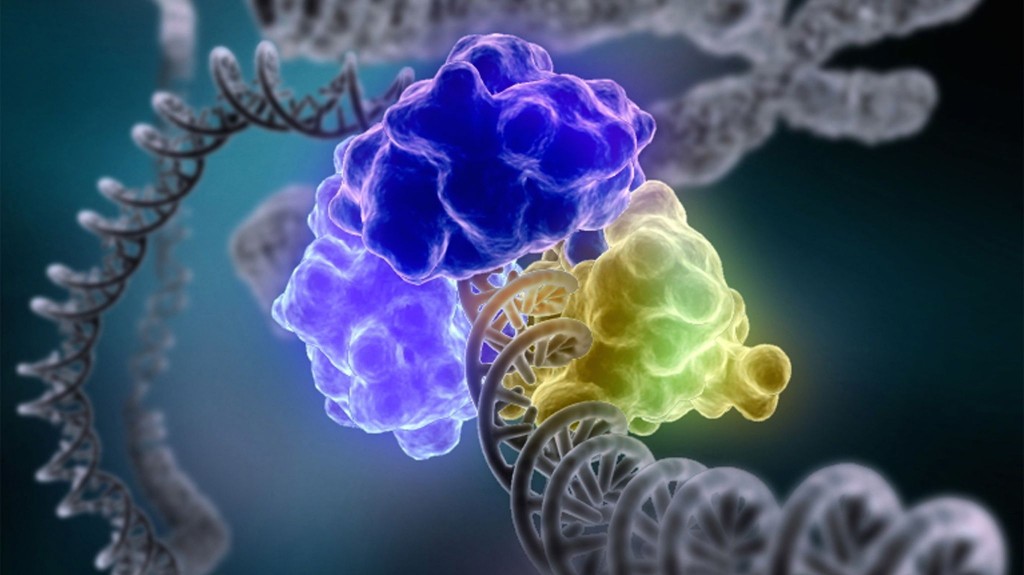 Genetically Engineering Almost Anything Dna-repair-machinery-1024x575