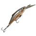 "Poissons nageurs : les longbill minnows..." Longbill-minnow-buffet-tackle-house