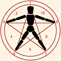 Fibonacci et le nombre d'or Symbol_mueller