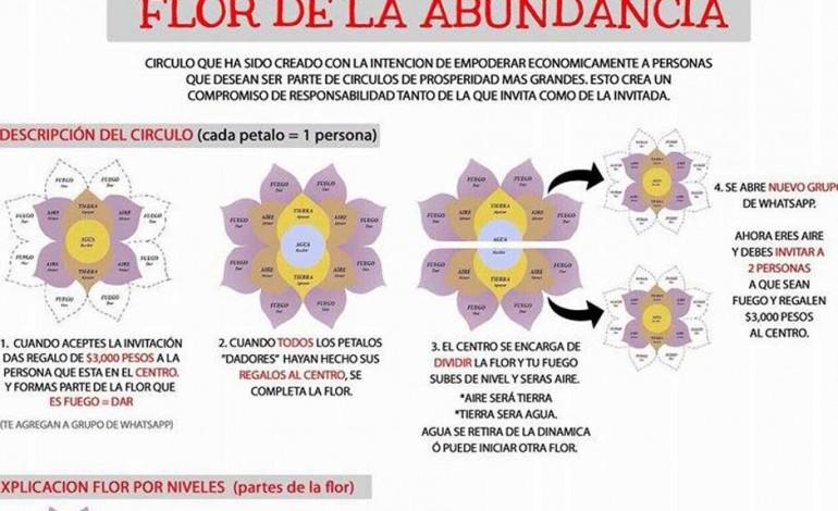 el negocio de los 24 mil pesos la flor de abundancia Flor-de-la-abundancia