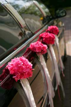    Wedding-car-decorations-5