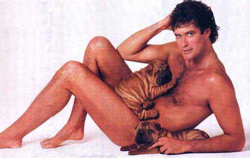 People for the Ethical Treatment of Animals Hasselhoff_peta