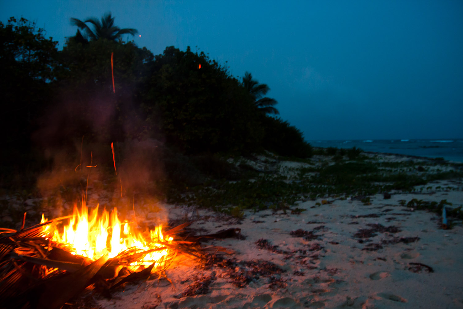 Sala 1: Christian, Eduardo Rolo, Gabriela, Soraya, Javier Quintana Pr_vieques_hoguera_en_la_playa