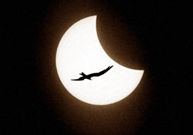 الماس Eclipse_photography04