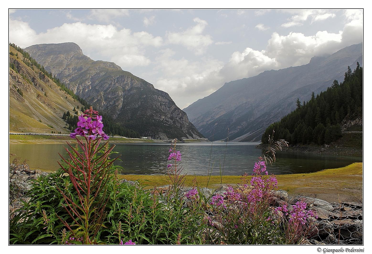 Lago di Livigno 891_Lago_di_Livigno_1_MW