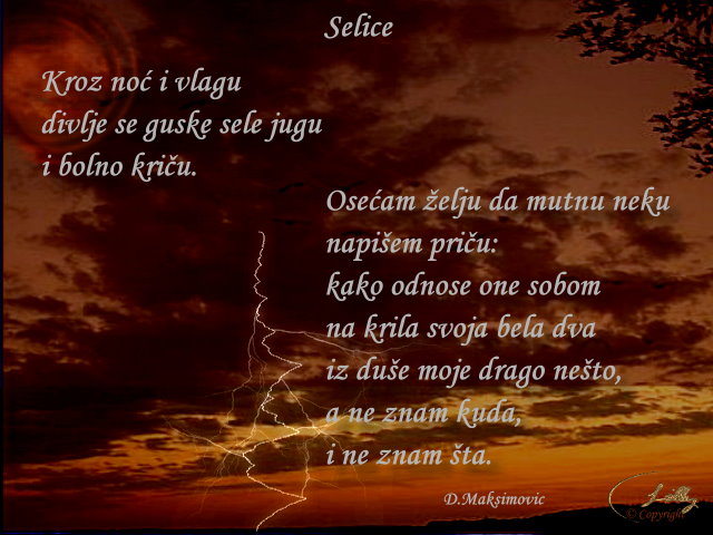 "Oslikana" poezija Selice