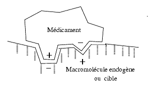 Conditions  pour une interaction moléculaire! Mecanisme_dactiona