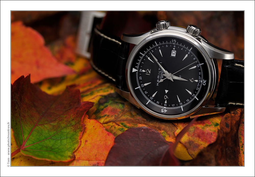 ****La montre du jour ! vol. 17**** - Page 20 Hamilton_GMT2_DSC9042