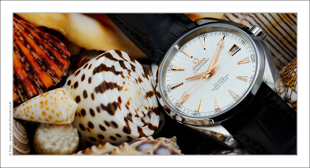 ****La montre du jour ! vol. 36**** - Page 31 PT2_Omega_AT_8500_DSC2369m6z1