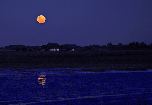 நிலா நீ வானம் Moon9