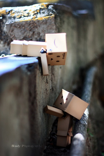 có ai thích bé này không? Danbo13