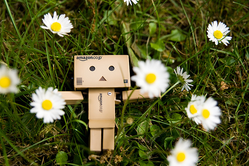 có ai thích bé này không? Danbo6