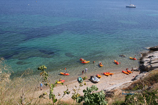 زيارتي لجزيرةPorquerollese في فرنسا 20-porquerolles