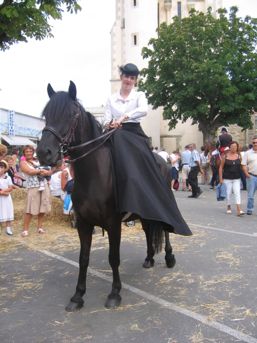 Une cavalière pratiquant, entre autres, l'équitation en amazone - Page 3 M_85613817_0