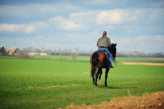 Ma passion... les chevaux!!! :D - Page 2 M_98585115_0