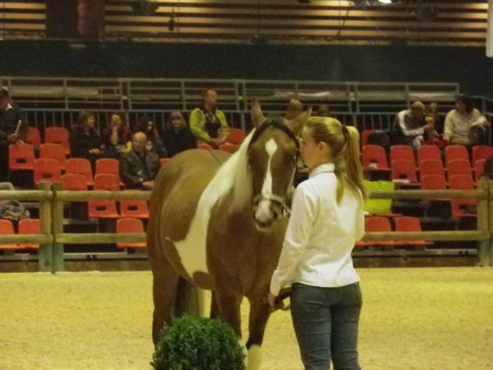 Equita'Lyon, le salon du cheval 2011 M_213511871_0