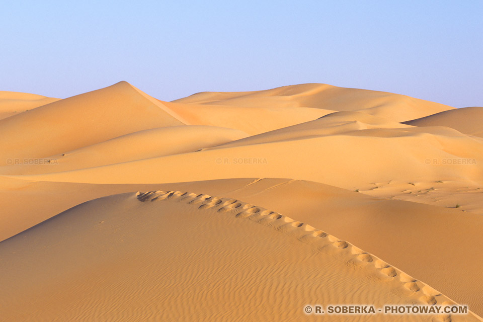 صور للصحراء الجزائرية EAU04_371-traces-pas-desert