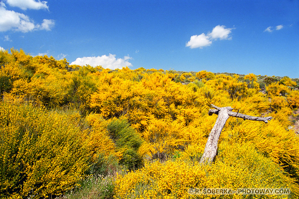 صور مناظر روووووووووووووووعة AND97_021-paysages-sierra-nevada