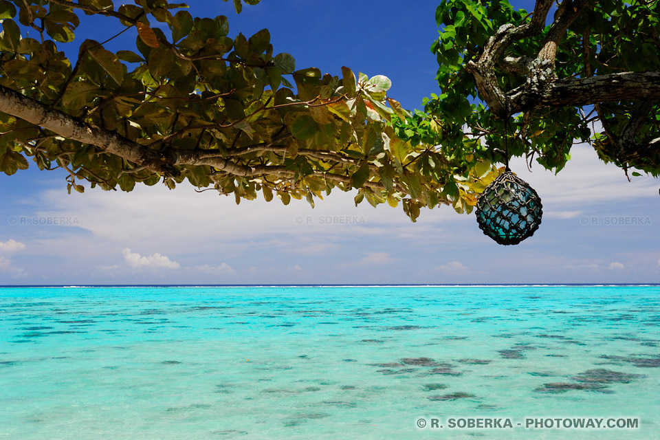 صور جميلة جدا عن الشؤاطى العالم كله POLY06_253-lagon-moorea