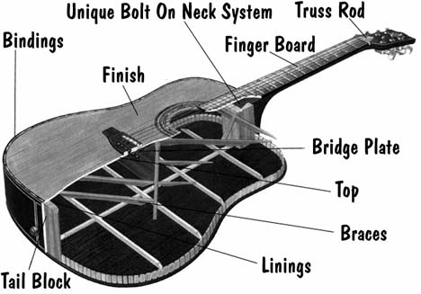 the guitars Guitar_anatomy