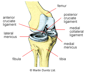 (( مشتشفى الانتر )) Cartilage_tear_1