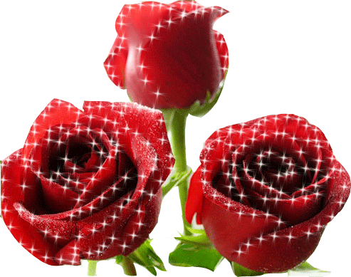 قلبٌ لا يعرفُ إلّأ الحبّ  Picgifs-roses-414284
