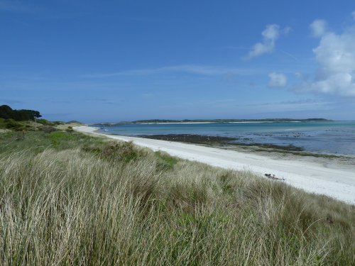 Het strand 1137927