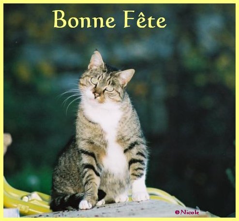 PETITE MARTINE c'est ta fête... Chat_berre1fete